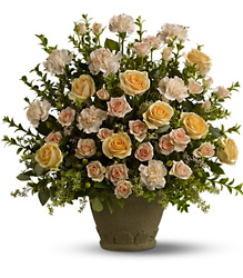 Rose Remembrance Cottage Florist Lakeland Fl 33813 Premium Flowers lakeland